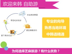 韓國首爾與釜山專業(yè)翻譯與軟件開發(fā)服務(wù)