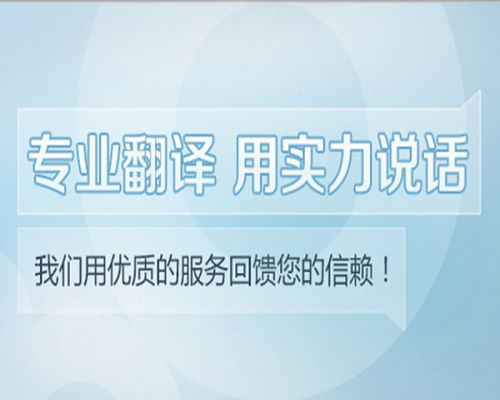 軟件開發(fā)相關(guān)英文文獻(xiàn)翻譯 沈陽專業(yè)服務(wù)公司的關(guān)鍵角色
