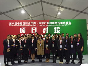 我院學子圓滿完成第六屆中意產業創新合作重慶峰會項目對接會翻譯與軟件開發志愿服務